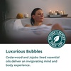image:imageKneipp Dream Time Lavender amp Vanilla Aromatherapy Bubble Bath  Good for Unwinding Before Bed  Vegan  Sulfate Free  135 fl oz  Up to Eight BathsCedarwood and Juniper