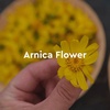 image:imageKneipp Joint amp Muscle Arnica Bath Oil  Good for Achy Joints amp PostWorkout Recovery  Vegan  338 fl oz  Up to 10 Baths