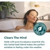image:imageKneipp Under The Weather Eucalyptus Bath Oil  Good for Respiratory Wellness  Vegan  338 fl oz  Up to 10 BathsUnder the Weather Eucalyptus