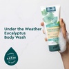 image:imageKneipp Under the Weather Eucalyptus Body Wash  676 fl oz  Good for Respiratory Wellness  Vegan