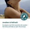 image:imageKneipp Under the Weather Eucalyptus Body Wash  676 fl oz  Good for Respiratory Wellness  Vegan